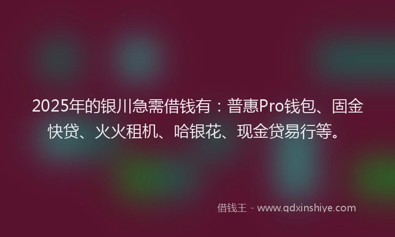 2025年的银川急需借钱有：普惠Pro钱包、固金快贷、火火租机、哈银花、现金贷易行等。
