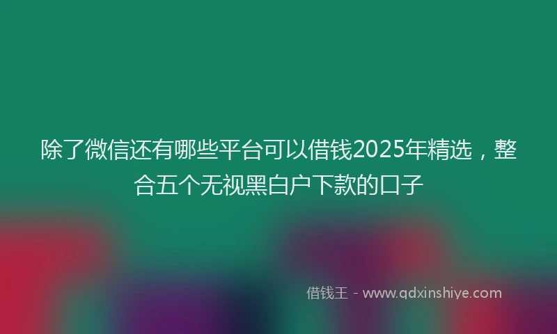 除了微信还有哪些平台可以借钱2025年精选，整合五个无视黑白户下款的口子