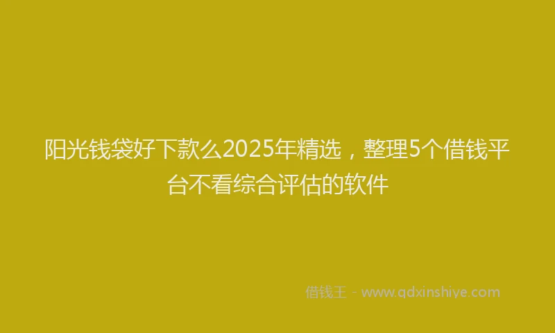 阳光钱袋好下款么2025年精选，整理5个借钱平台不看综合评估的软件