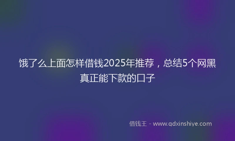饿了么上面怎样借钱2025年推荐，总结5个网黑真正能下款的口子