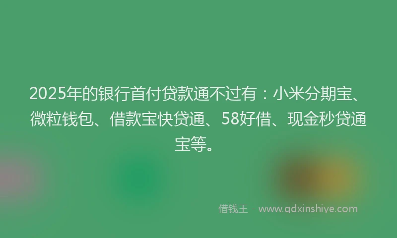 2025年的银行首付贷款通不过有：小米分期宝、微粒钱包、借款宝快贷通、58好借、现金秒贷通宝等。