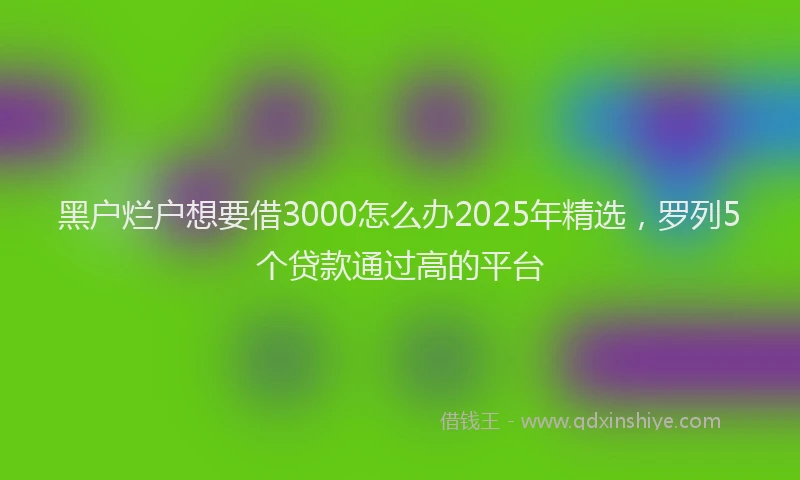 黑户烂户想要借3000怎么办2025年精选，罗列5个贷款通过高的平台