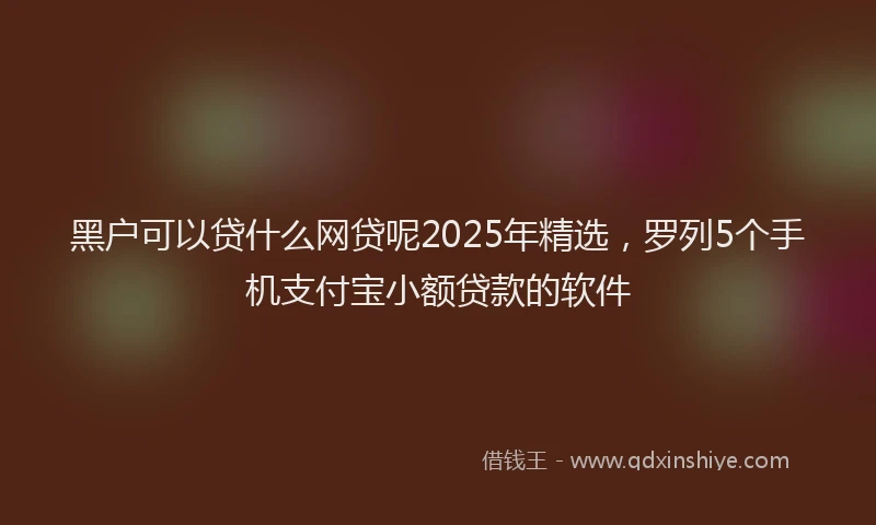 黑户可以贷什么网贷呢2025年精选，罗列5个手机支付宝小额贷款的软件