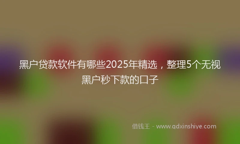 黑户贷款软件有哪些2025年精选，整理5个无视黑户秒下款的口子