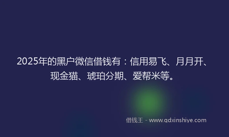 2025年的黑户微信借钱有：信用易飞、月月开、现金猫、琥珀分期、爱帮米等。