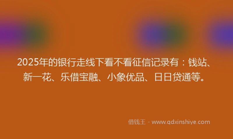 2025年的银行走线下看不看征信记录有：钱站、新一花、乐借宝融、小象优品、日日贷通等。