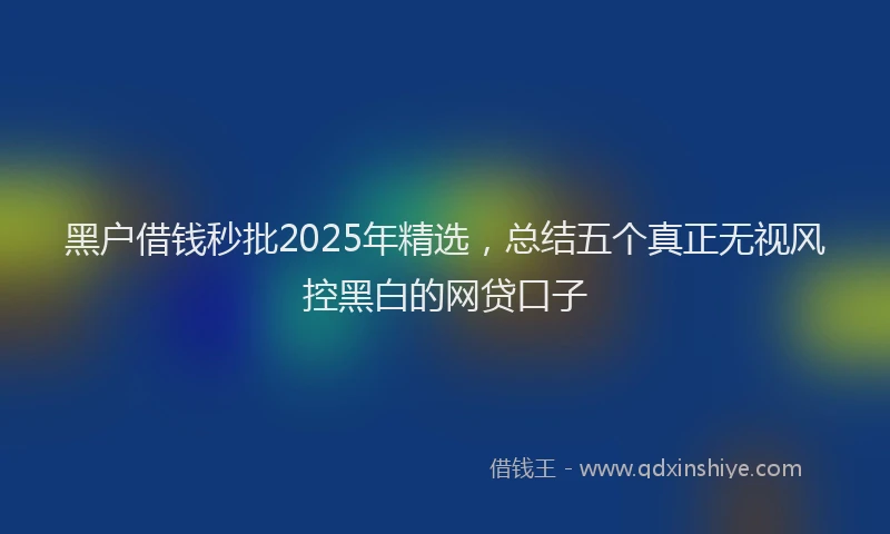 黑户借钱秒批2025年精选，总结五个真正无视风控黑白的网贷口子