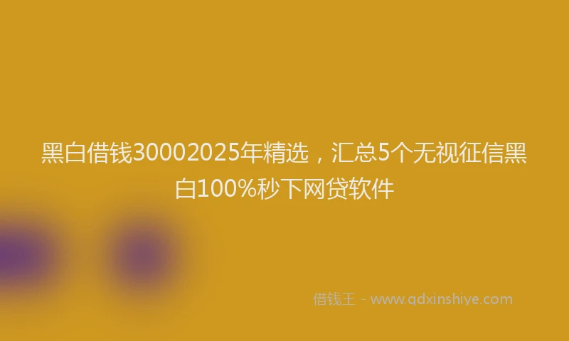黑白借钱30002025年精选，汇总5个无视征信黑白100%秒下网贷软件