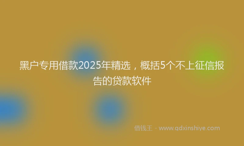 黑户专用借款2025年精选，概括5个不上征信报告的贷款软件
