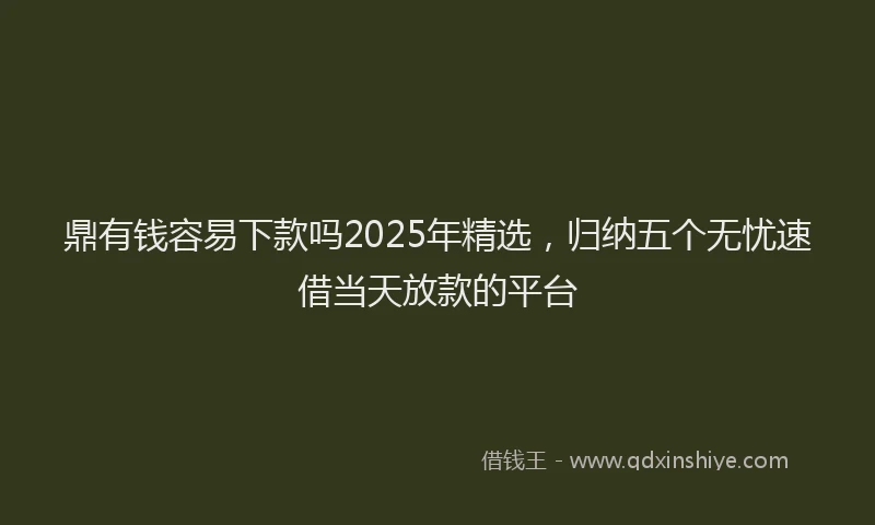 鼎有钱容易下款吗2025年精选，归纳五个无忧速借当天放款的平台