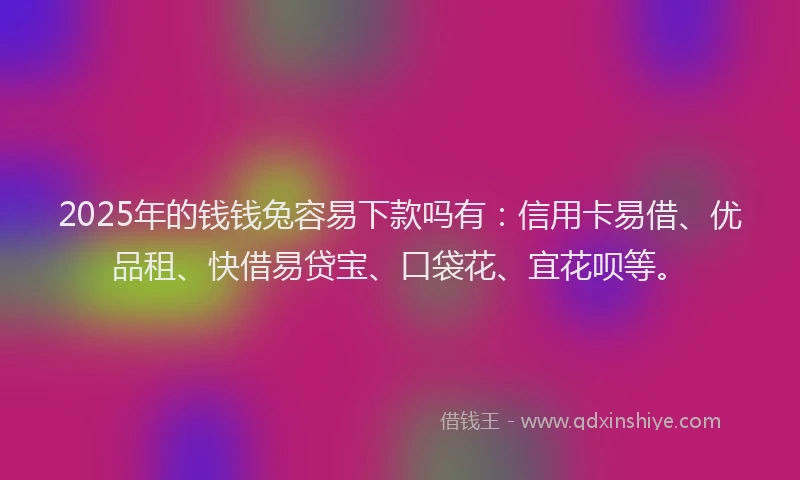 2025年的钱钱兔容易下款吗有：信用卡易借、优品租、快借易贷宝、口袋花、宜花呗等。