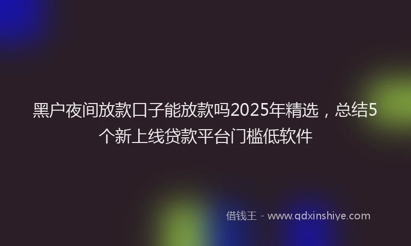 黑户夜间放款口子能放款吗2025年精选，总结5个新上线贷款平台门槛低软件