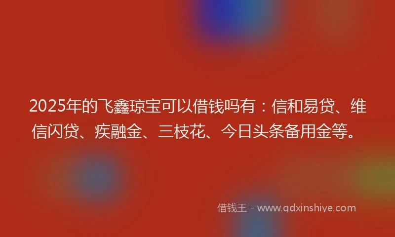 2025年的飞鑫琼宝可以借钱吗有：信和易贷、维信闪贷、疾融金、三枝花、今日头条备用金等。