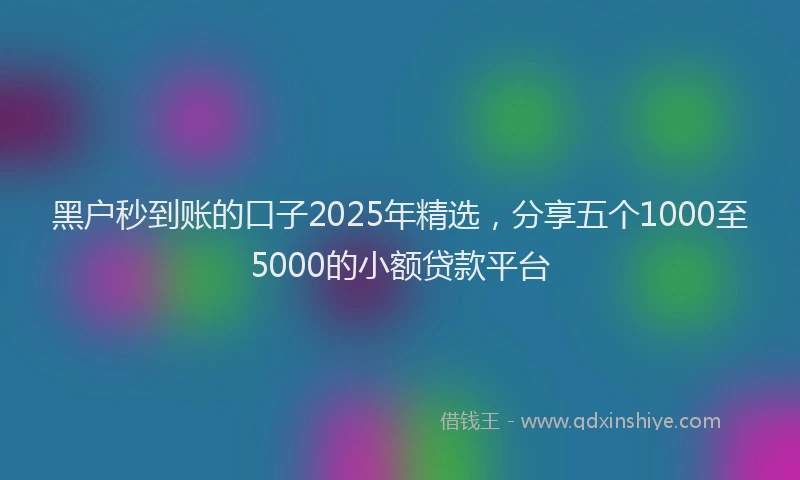 黑户秒到账的口子2025年精选，分享五个1000至5000的小额贷款平台