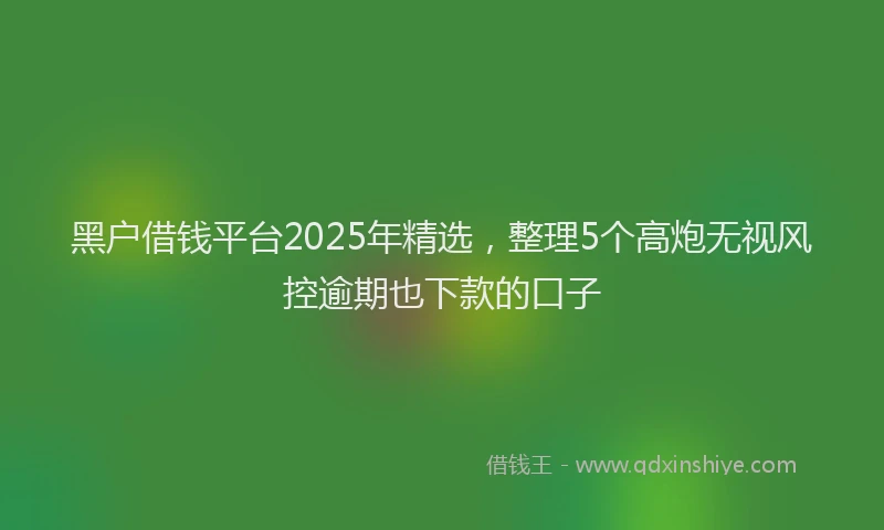黑户借钱平台2025年精选，整理5个高炮无视风控逾期也下款的口子