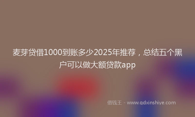 麦芽贷借1000到账多少2025年推荐，总结五个黑户可以做大额贷款app