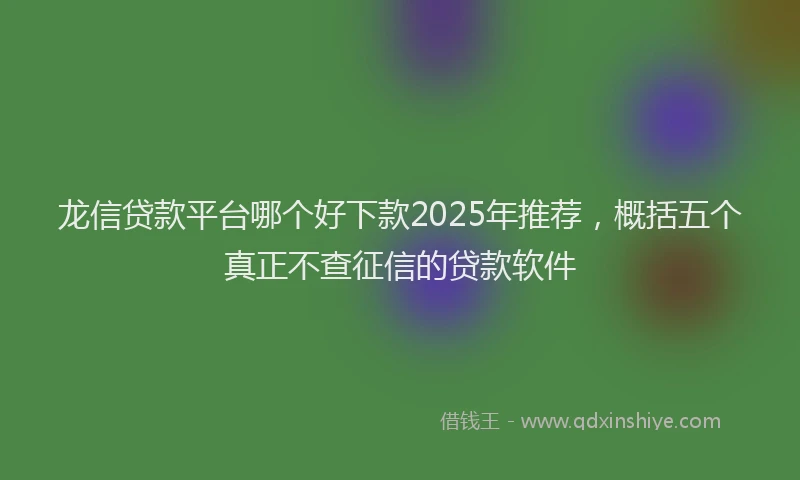 龙信贷款平台哪个好下款2025年推荐，概括五个真正不查征信的贷款软件