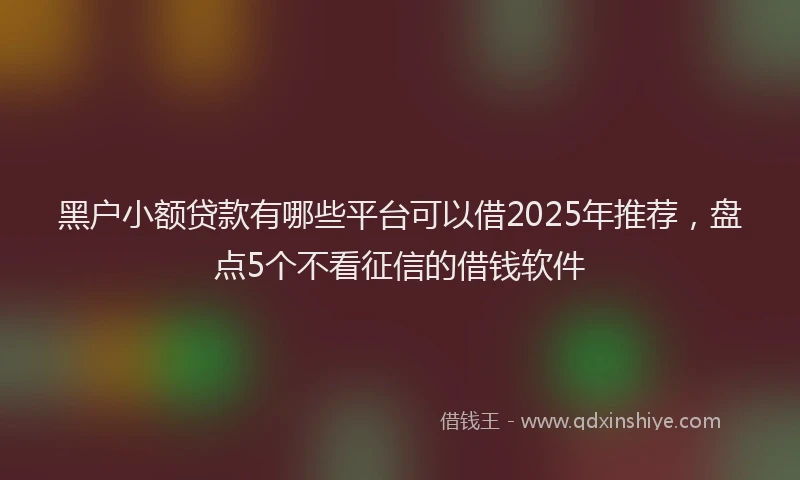 黑户小额贷款有哪些平台可以借2025年推荐，盘点5个不看征信的借钱软件