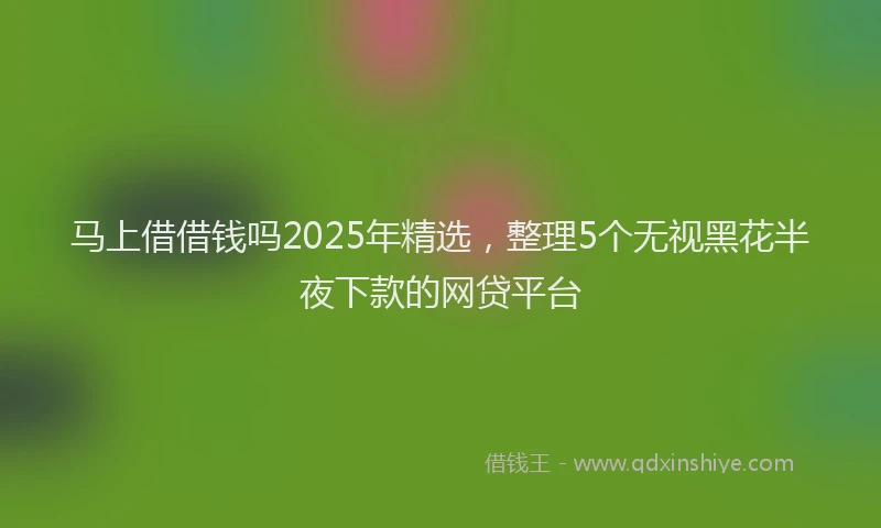 马上借借钱吗2025年精选，整理5个无视黑花半夜下款的网贷平台