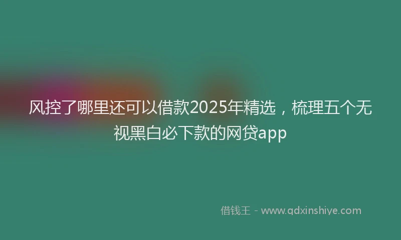 风控了哪里还可以借款2025年精选，梳理五个无视黑白必下款的网贷app