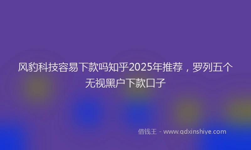 风豹科技容易下款吗知乎2025年推荐，罗列五个无视黑户下款口子