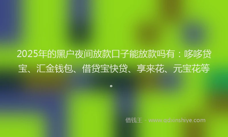 2025年的黑户夜间放款口子能放款吗有：哆哆贷宝、汇金钱包、借贷宝快贷、享来花、元宝花等。