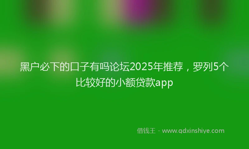 黑户必下的口子有吗论坛2025年推荐，罗列5个比较好的小额贷款app