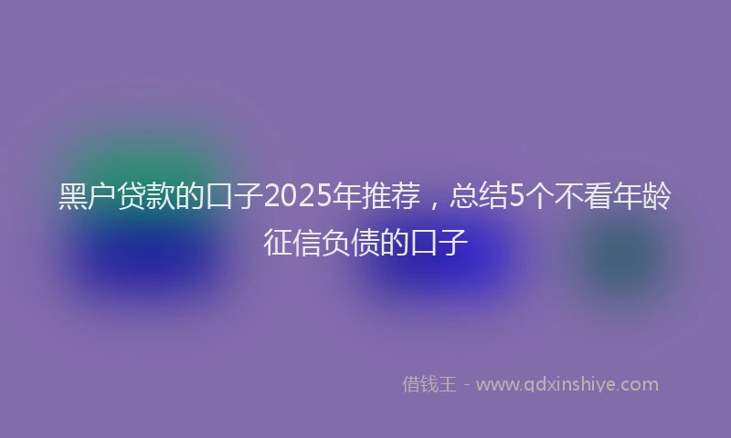 黑户贷款的口子2025年推荐，总结5个不看年龄征信负债的口子