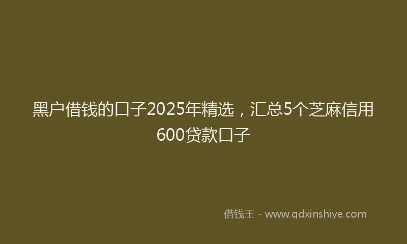 黑户借钱的口子2025年精选，汇总5个芝麻信用600贷款口子