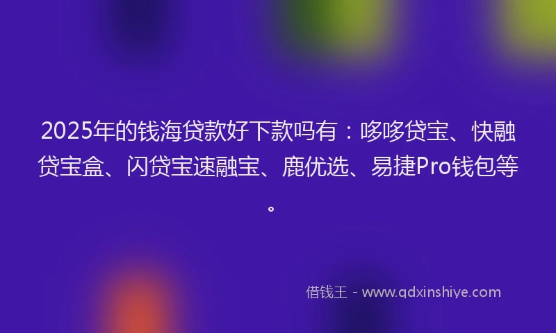 2025年的钱海贷款好下款吗有：哆哆贷宝、快融贷宝盒、闪贷宝速融宝、鹿优选、易捷Pro钱包等。