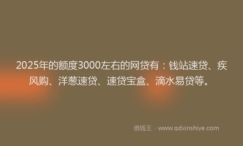 2025年的额度3000左右的网贷有：钱站速贷、疾风购、洋葱速贷、速贷宝盒、滴水易贷等。