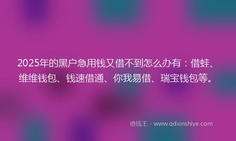 2025年的黑户急用钱又借不到怎么办有：借蛙、维维钱包、钱速借通、你我易借、瑞宝钱包等。