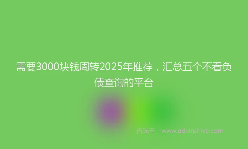 需要3000块钱周转2025年推荐，汇总五个不看负债查询的平台
