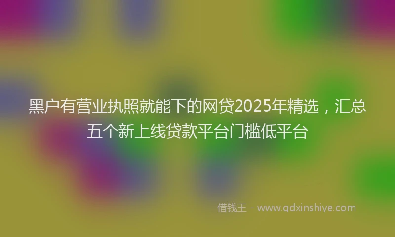 黑户有营业执照就能下的网贷2025年精选，汇总五个新上线贷款平台门槛低平台