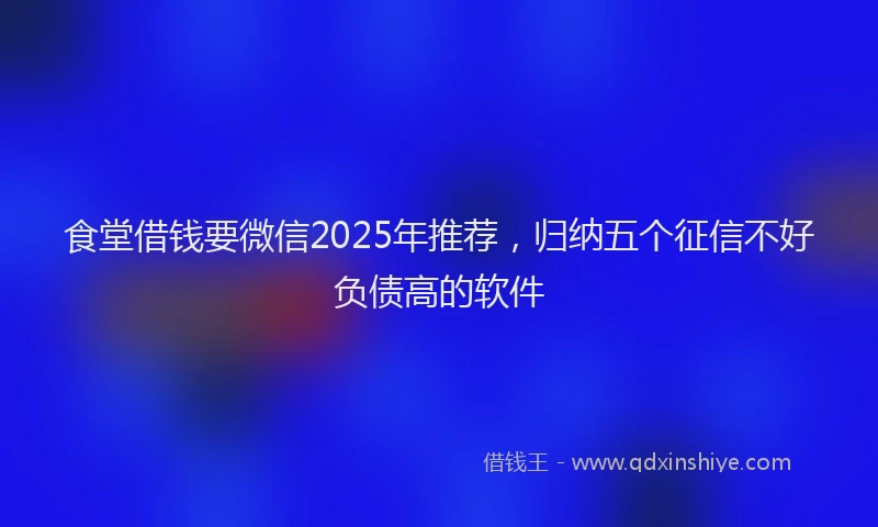食堂借钱要微信2025年推荐，归纳五个征信不好负债高的软件