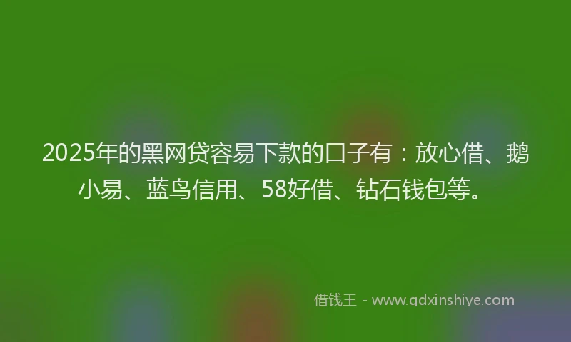2025年的黑网贷容易下款的口子有：放心借、鹅小易、蓝鸟信用、58好借、钻石钱包等。