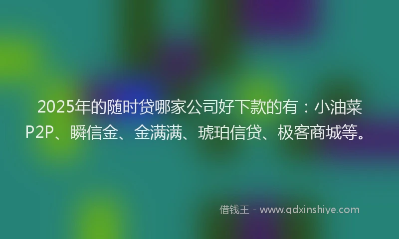 2025年的随时贷哪家公司好下款的有：小油菜P2P、瞬信金、金满满、琥珀信贷、极客商城等。
