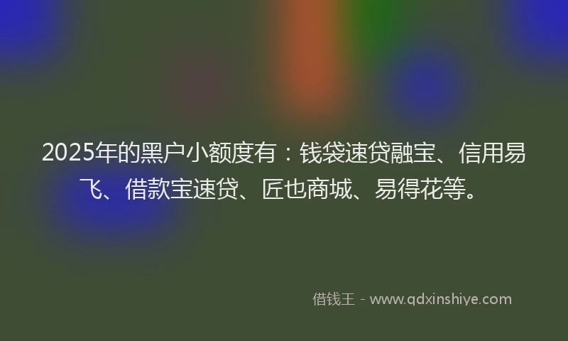 2025年的黑户小额度有：钱袋速贷融宝、信用易飞、借款宝速贷、匠也商城、易得花等。