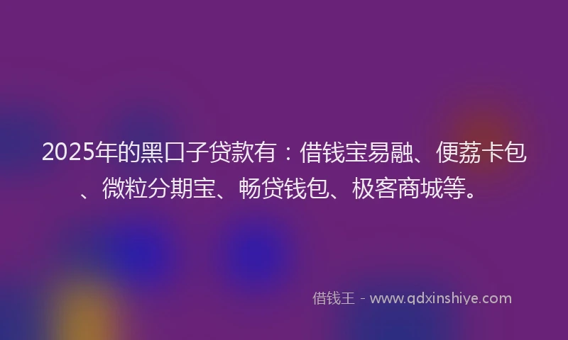 2025年的黑口子贷款有：借钱宝易融、便荔卡包、微粒分期宝、畅贷钱包、极客商城等。