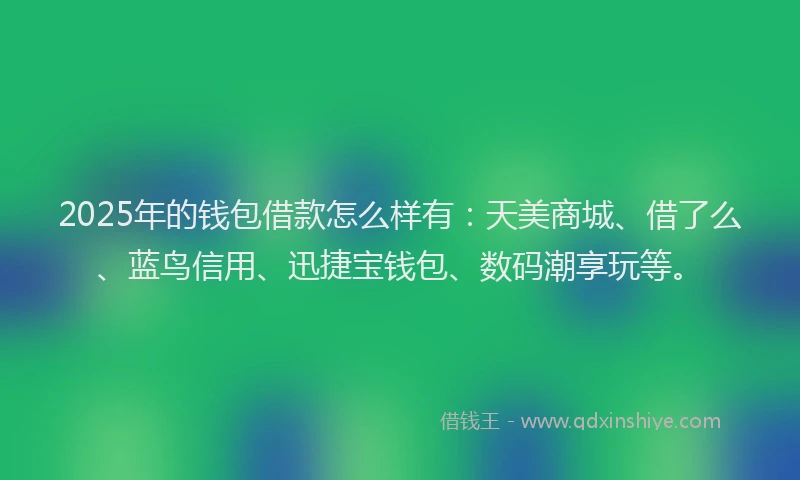 2025年的钱包借款怎么样有：天美商城、借了么、蓝鸟信用、迅捷宝钱包、数码潮享玩等。