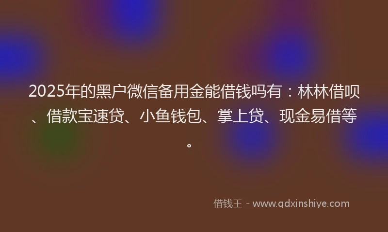2025年的黑户微信备用金能借钱吗有：林林借呗、借款宝速贷、小鱼钱包、掌上贷、现金易借等。