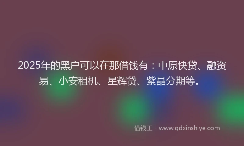 2025年的黑户可以在那借钱有：中原快贷、融资易、小安租机、星辉贷、紫晶分期等。