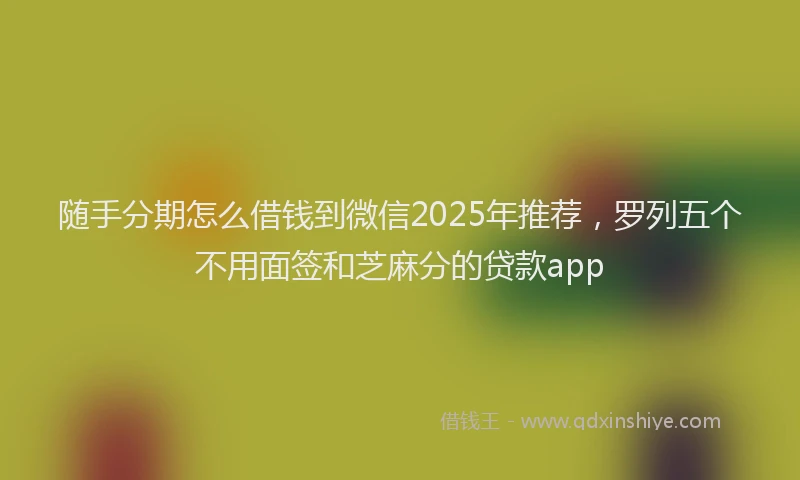 随手分期怎么借钱到微信2025年推荐，罗列五个不用面签和芝麻分的贷款app