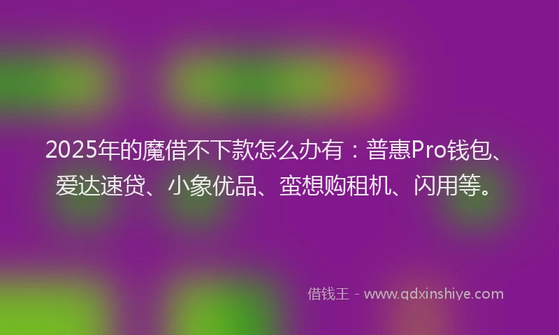 2025年的魔借不下款怎么办有：普惠Pro钱包、爱达速贷、小象优品、蛮想购租机、闪用等。