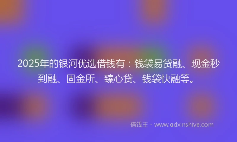 2025年的银河优选借钱有：钱袋易贷融、现金秒到融、固金所、臻心贷、钱袋快融等。