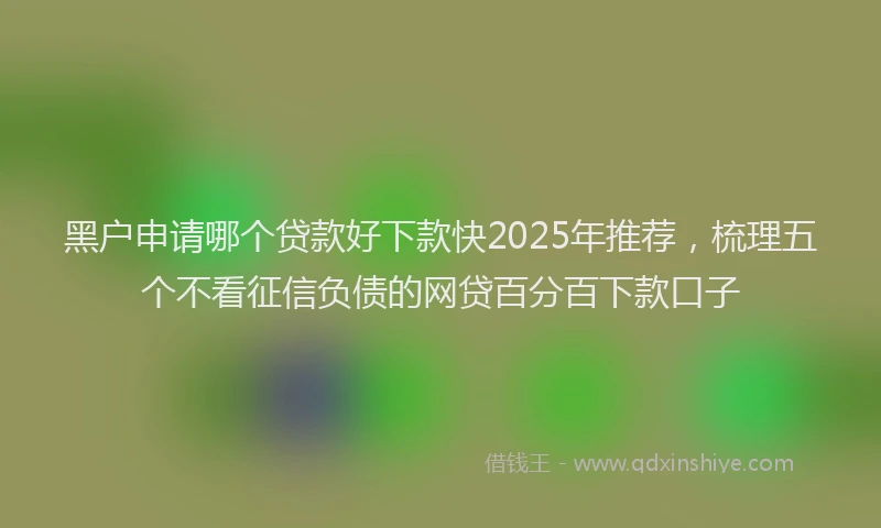 黑户申请哪个贷款好下款快2025年推荐，梳理五个不看征信负债的网贷百分百下款口子