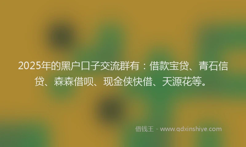 2025年的黑户口子交流群有：借款宝贷、青石信贷、森森借呗、现金侠快借、天源花等。