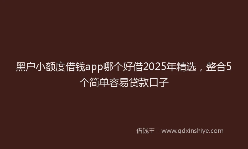 黑户小额度借钱app哪个好借2025年精选，整合5个简单容易贷款口子