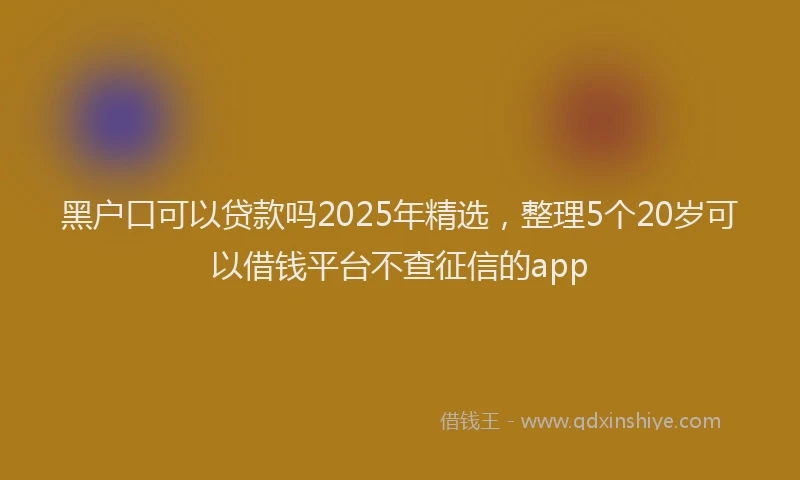 黑户口可以贷款吗2025年精选，整理5个20岁可以借钱平台不查征信的app