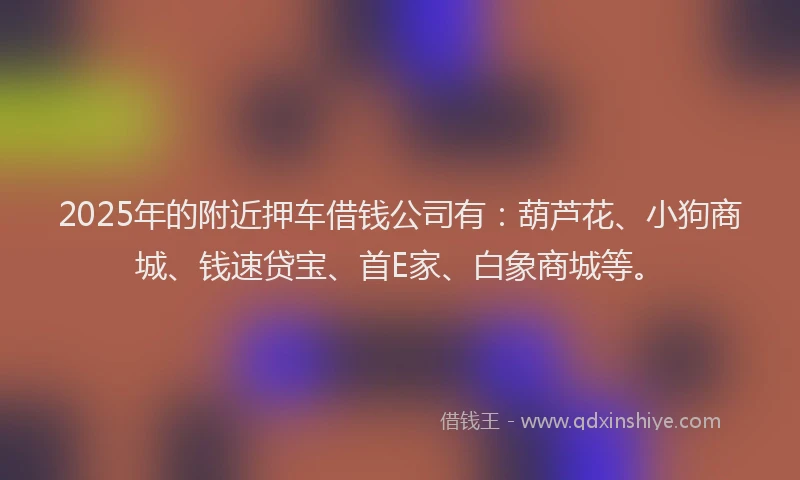 2025年的附近押车借钱公司有：葫芦花、小狗商城、钱速贷宝、首E家、白象商城等。